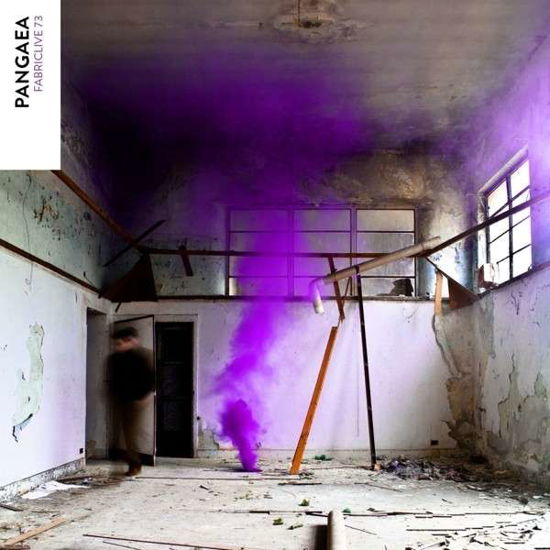 Cover for Pangaea · Fabriclive 73 Pangaea (CD) (2014)