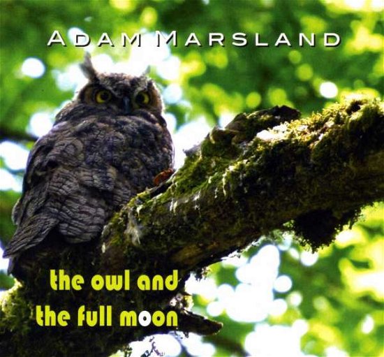 Cover for Adam Marsland · Owl And The Full Moon (CD) (2013)