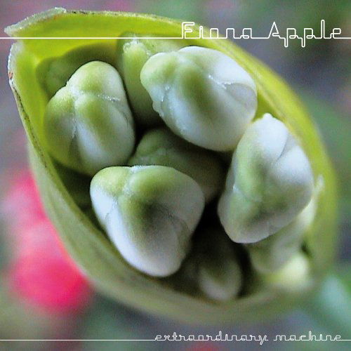 Extraordinary Machine - Fiona Apple - Musikk - COLUMBIA - 0828767363622 - 8. oktober 2005