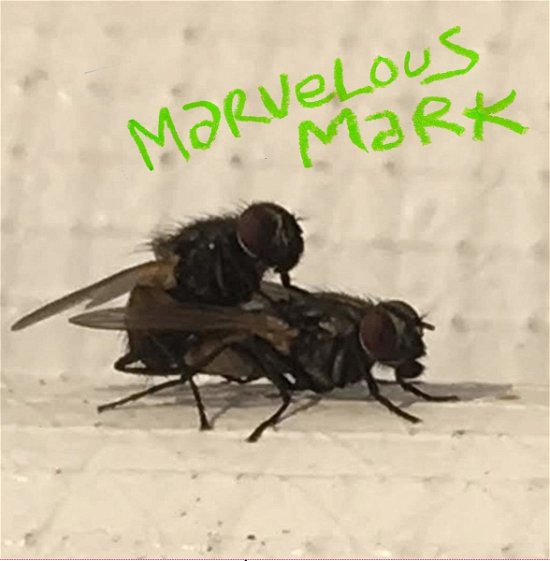 Buzzin' - Marvelous Mark - Musik - DRUNKEN SAILOR - 2090405060622 - 19. April 2019