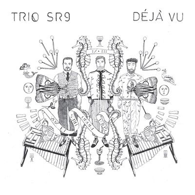 Cover for Trio Sr9 · Deja Vu (LP) (2022)