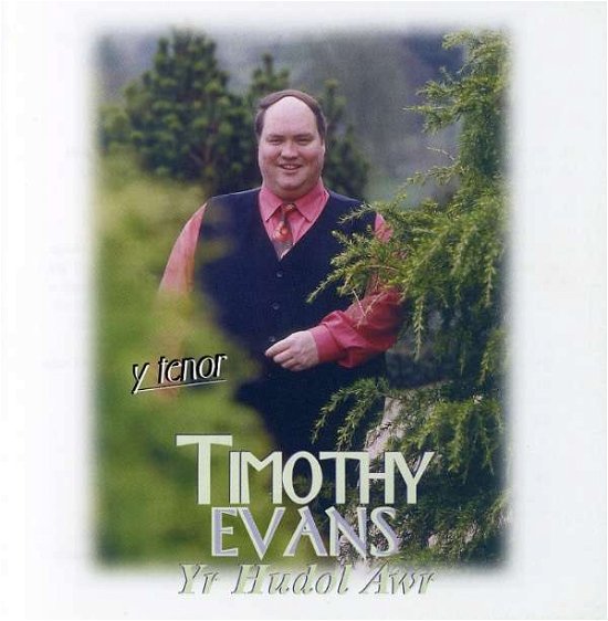 Cover for Timothy Evans · Yr Hudol Awr (CD) (2019)