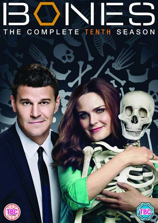 Cover for Universal · Bones - Season 10 (DVD) (2015)