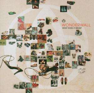 What Does It Mean? - Wonderwall - Música - WEA - 5050466837622 - 10 de novembro de 2003