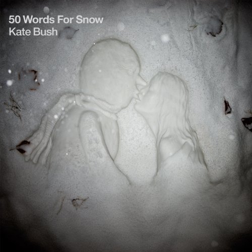 50 Words for Snow - Kate Bush - Musik - DISTAVTAL - 5099972986622 - November 21, 2011