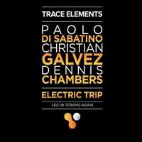 Cover for Trace Elements · Electric Trip (CD) (2017)