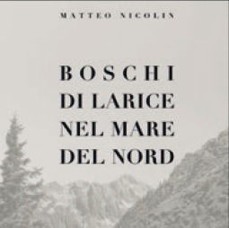Cover for Matteo Nicolin · Matteo Nicolin - Boschi Di Larice Nel Mare Del Nord (CD)