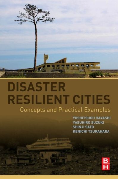 Cover for Hayashi, Yoshitsugu (Distinguished Professor and Director, Center for Sustainable Development and Global Smart City, Chubu University, Kasugai, Aichi, Japan) · Disaster Resilient Cities: Concepts and Practical Examples (Paperback Book) (2016)