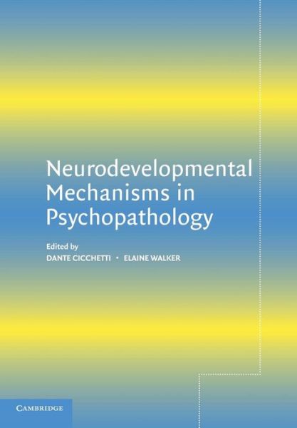 Cover for Dante Cicchetti · Neurodevelopmental Mechanisms in Psychopathology (Paperback Book) (2003)