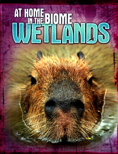 Cover for Louise Spilsbury · At Home in the Biome: Wetlands - At Home in the Biome (Paperback Book) (2017)