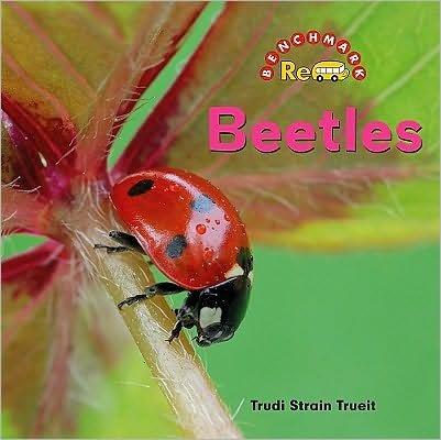 Cover for Trudi Trueit · Beetles - Animals, Animals (Hardcover bog) (2010)
