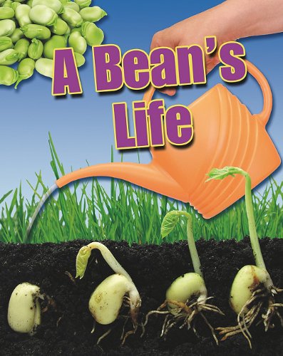 Cover for Angela Royston · A Bean's Life (Crabtree Connections) (Paperback Book) (2011)