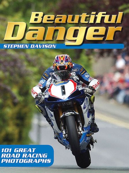 Cover for Stephen Davison · Beautiful Danger (Paperback Book) (2015)