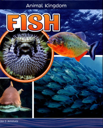 Fish - Animal Kingdom - Lisa J. Amstutz - Książki - Capstone Global Library Ltd - 9781474734622 - 7 września 2017