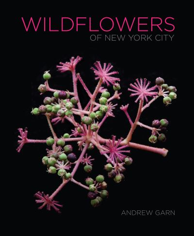 Cover for Andrew Garn · Wildflowers of New York City (Hardcover Book) (2021)