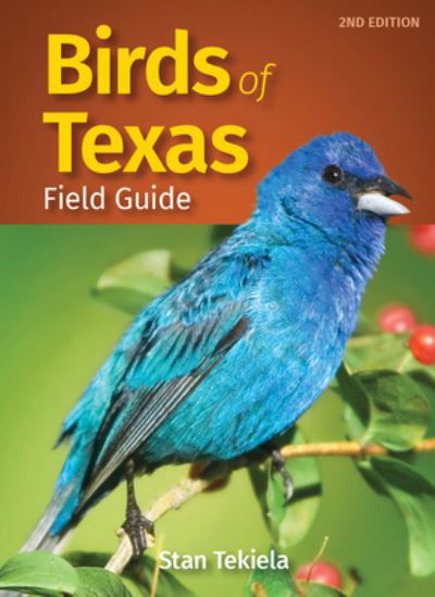 Cover for Stan Tekiela · Birds of Texas Field Guide - Bird Identification Guides (Taschenbuch) [2 Revised edition] (2020)