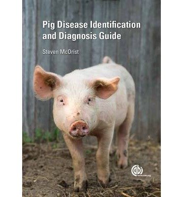 Cover for McOrist, Steven (Consultant pig veterinarian, formerly University of Nottingham, UK) · Pig Disease Identification and Diagnosis Guide (Pocketbok) (2014)