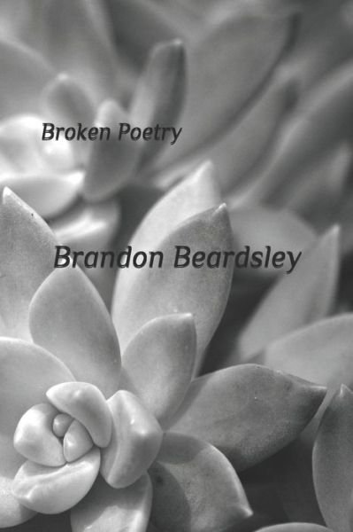 Broken Poetry - Brandon Beardsley - Książki - Independently Published - 9781795510622 - 30 stycznia 2019