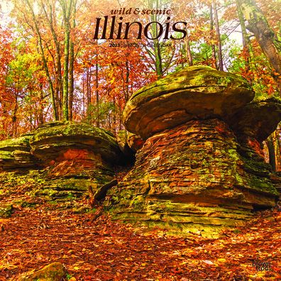 Cover for Browntrout · Illinois Wild &amp; Scenic 2023 Square (Calendar) (2022)