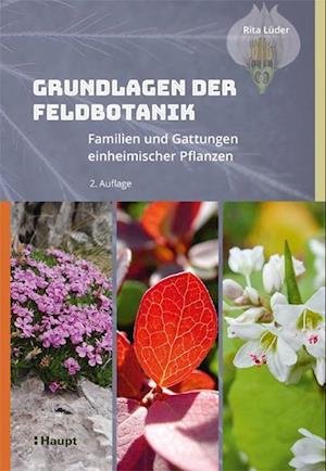 Cover for Rita Lüder · Grundlagen der Feldbotanik (Hardcover Book) (2022)