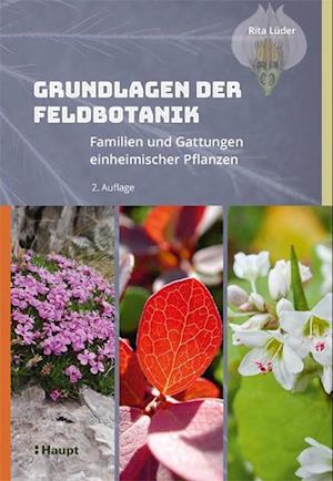 Grundlagen der Feldbotanik - Rita Lüder - Books - Haupt Verlag AG - 9783258082622 - April 11, 2022