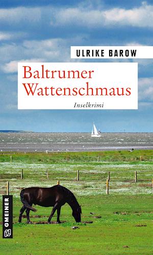 Cover for Barow · Baltrumer Wattenschmaus (Book)