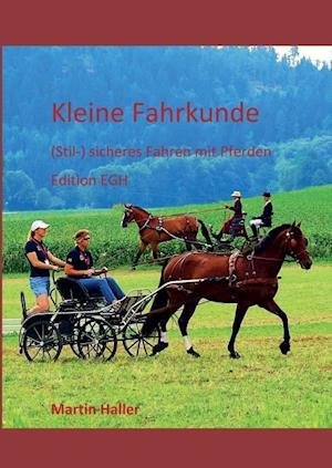Cover for Haller · Kleine Fahrkunde (Buch)