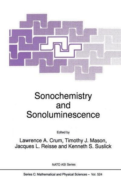Cover for L a Crum · Sonochemistry and Sonoluminescence - Nato Science Series C (Taschenbuch) [1st Ed. Softcover of Orig. Ed. 1999 edition] (2010)