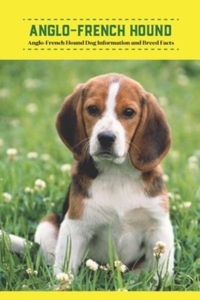 Cover for Gosnell Mollie · Anglo-French Hound: Anglo-French Hound Dog Information and Breed Facts (Pocketbok) (2022)