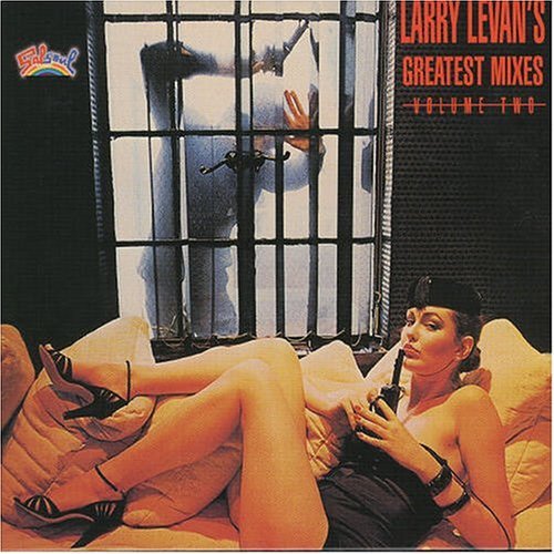 Vol. 2-greatest Mixes - Larry Levan's Mixes - Musikk - UNIDISC - 0068381249623 - 7. april 2009