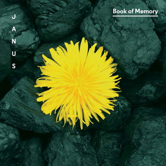 Cover for Lansky / Treuting / Janus / Wadden / Meyers · Book of Memory (CD) (2016)