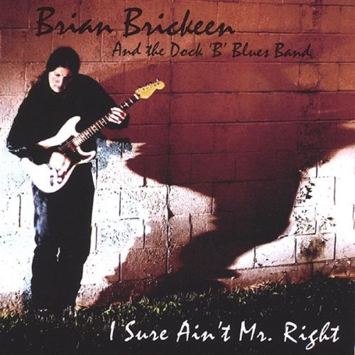 I Sure Aint Mr. Right - Brian Brickeen - Musik - CDB - 0600286092623 - 6 juli 2004