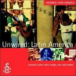 Cover for The Rough Guide · Unwired: Latin America (CD) (2001)