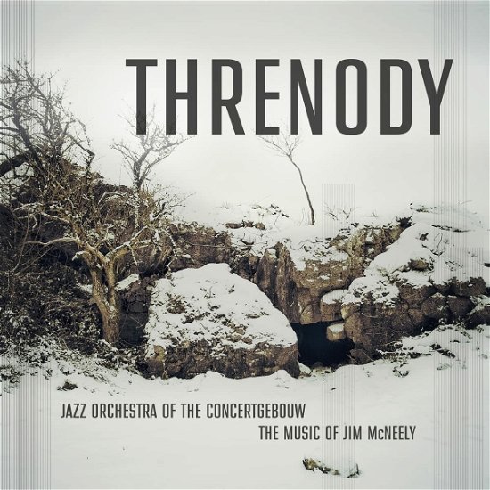 Cover for Jazz Orchestra Of The Concertgebouw · Threnody (CD) (2022)