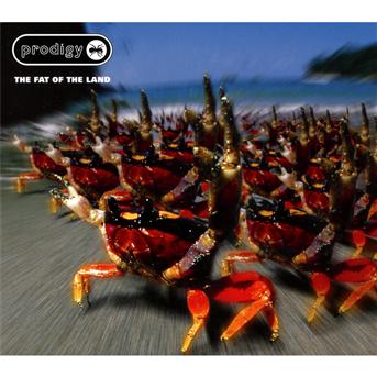 Fat Of The Land - The Prodigy - Music - XL RECORDINGS - 0634904058623 - November 26, 2012