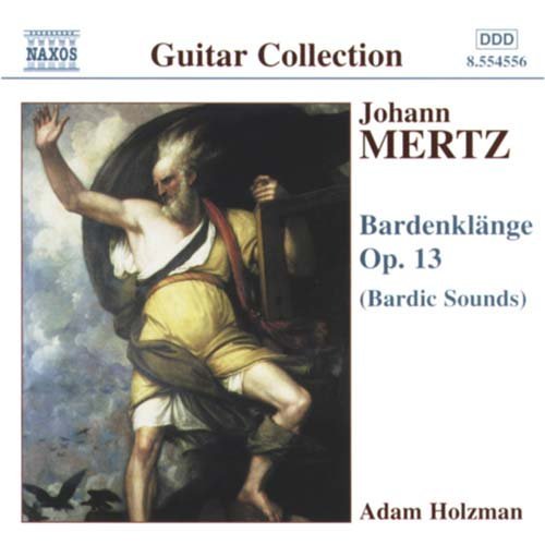 Cover for Adam Holzman · Mertzbardenklange (CD) (2002)