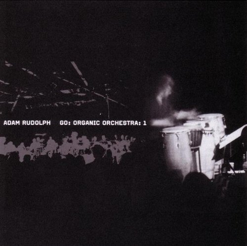 Go: Organic Orchestra 1 - Adam Rudolph - Musik - FAB DISTRIBUTION - 0638977100623 - 25. marts 2003