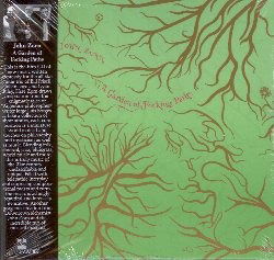 A Garden Of Forking Paths - John Zorn - Muzyka - TZADIK - 0702397838623 - 17 czerwca 2022