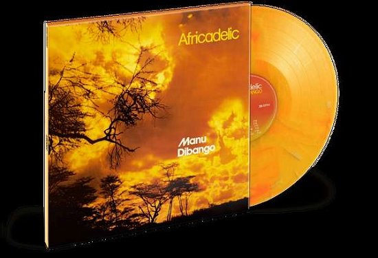 Africadelic - Manu Dibango - Music - SOUL MAKOSSA - 0762183967623 - April 1, 2022