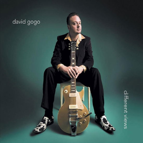 Different Views - David Gogo - Music - Dixiefrog - 0794881972623 - May 25, 2010