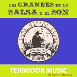 Grandes De La Sasa Y El Son (Los) / Various - Various Artists - Musiikki - Inakustik - 0821895990623 - tiistai 2. heinäkuuta 2013