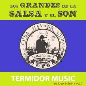 Cover for Various Artists · Grandes De La Sasa Y El Son (Los) / Various (CD) (2013)