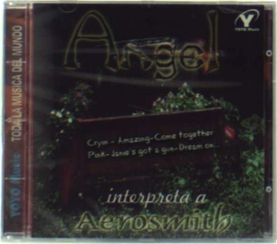 Cover for Angel · Interpret of Aerosmith (CD) (2008)