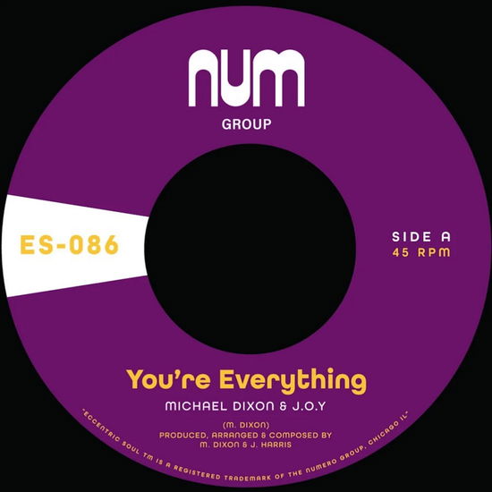 You're Everything B/w You're All I Need - Michael A. Dixon & J.o.y. - Music - Numero Group - 0825764708623 - August 4, 2023