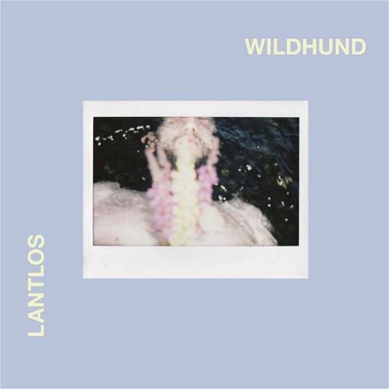 Cover for Lantlos · Wildhund (CD) [Digibook] (2021)