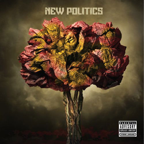 New Politics - New Politics - Musikk - RCA - 0886976397623 - 13. juli 2010