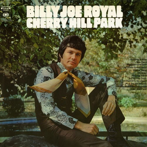 Cover for Billy Joe Royal · Cherry Hill Park-Royal,Billy Joe (CD) (2016)