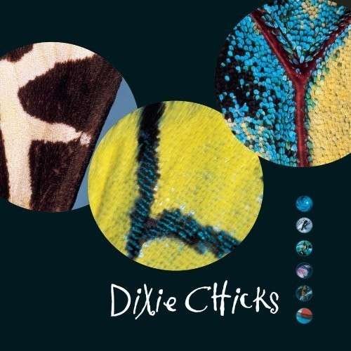 Fly - Dixie Chicks - Musik - SBME SPECIAL MKTS - 0888837133623 - 31 augusti 1999