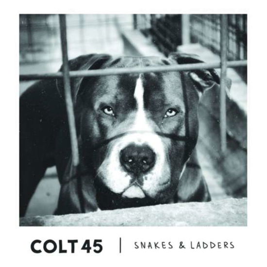 Snakes & Ladders - Colt 45 - Musique - VISIBLE NOISE - 5017687630623 - 29 avril 2016