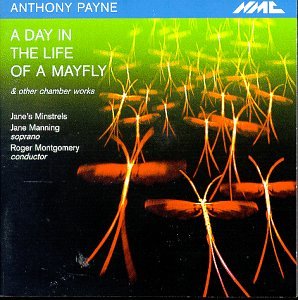 Payne - Janes Minstrels - Music - NMC RECORDINGS - 5023363005623 - January 28, 2002